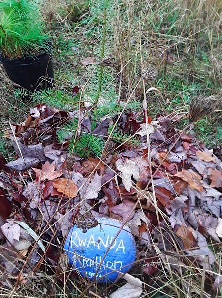 Genocide Memorial Tree Planting