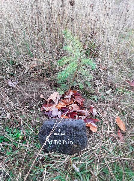 Genocide Memorial Tree Planting