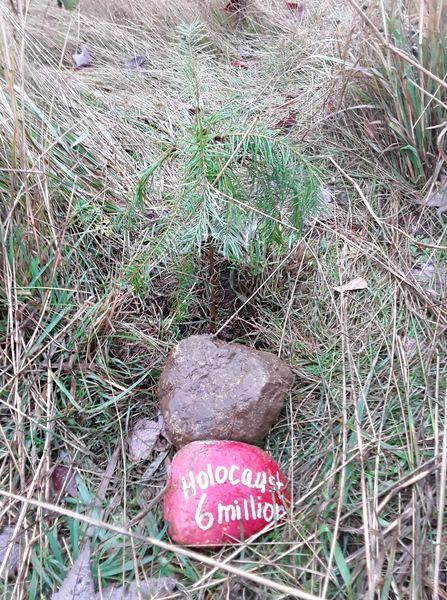 Genocide Memorial Tree Planting