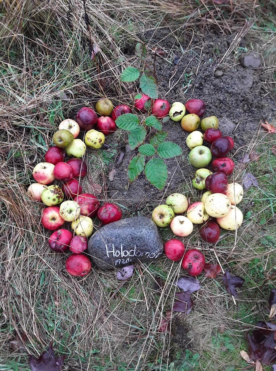 Genocide Memorial Tree Planting