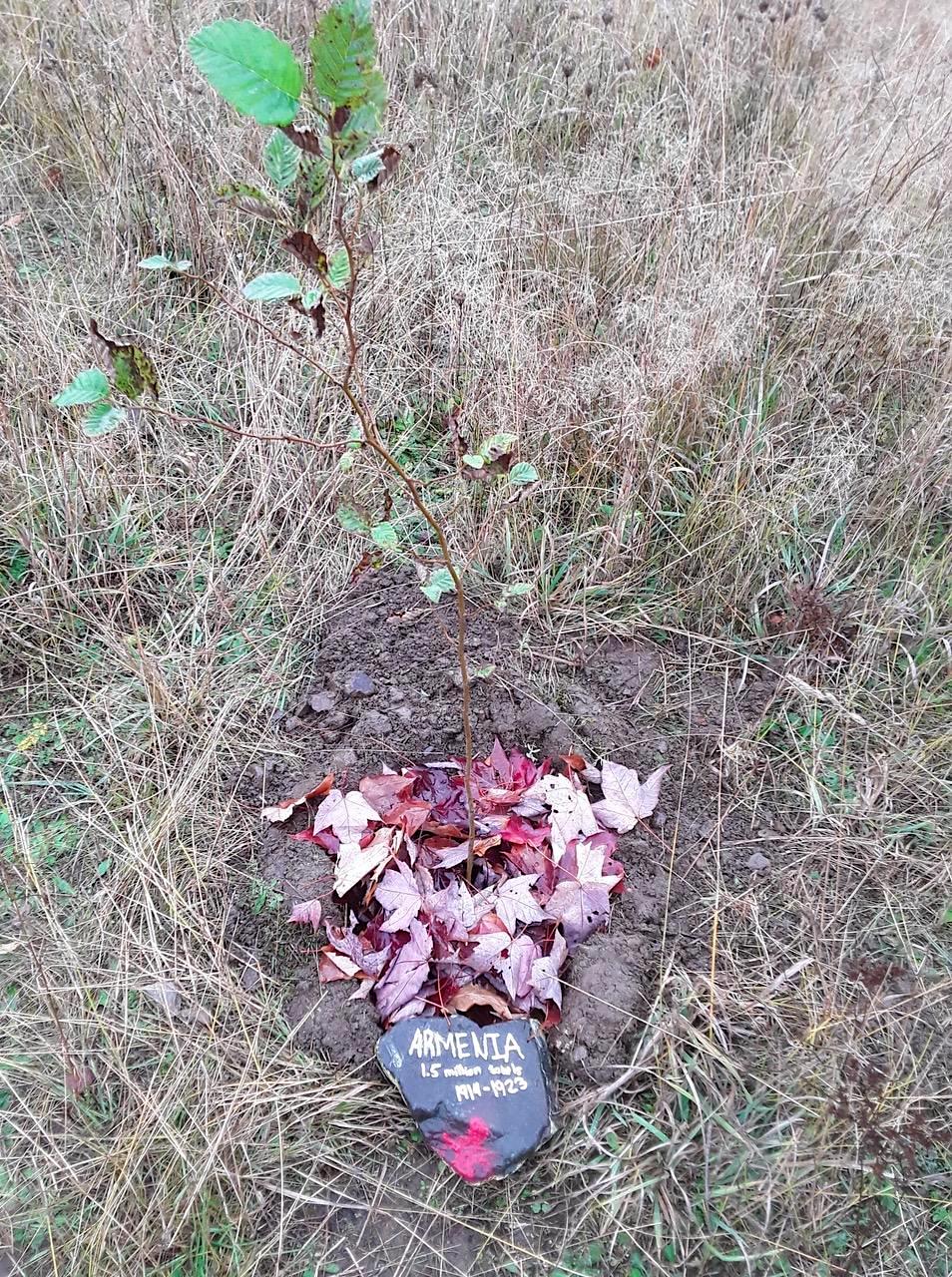 Genocide Memorial Tree Planting