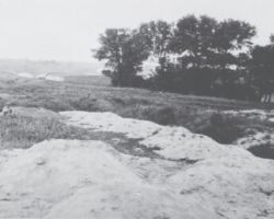 Taken in Kharkiv in 1932-33, this photograph is from the Innitzer Collection. It shows one of the mass grave sites used to bury the dead filled with victims of the Holodomor.
